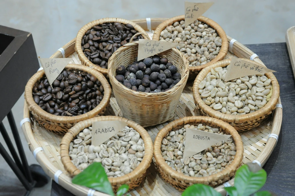 Các loại cà phê ngon đứng đầu menu hiện nay