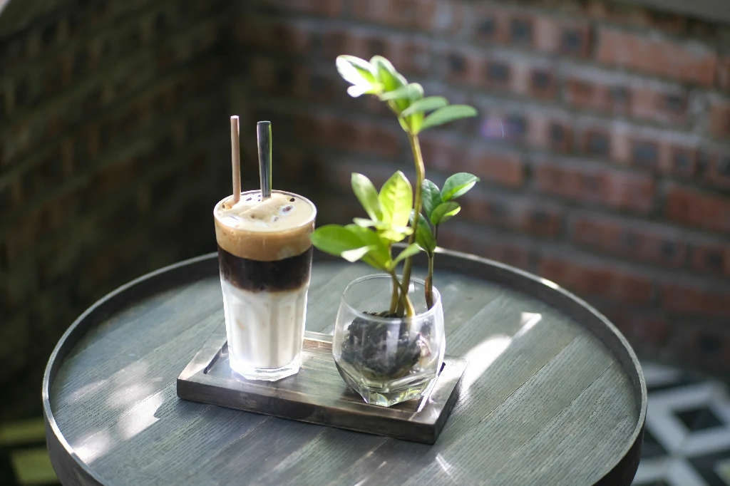 tỷ lệ phối trộn cafe và cốt dừa