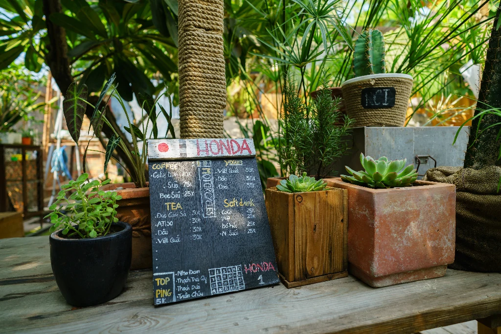 Bố cục menu cafe chuyên nghiệp trên Canva