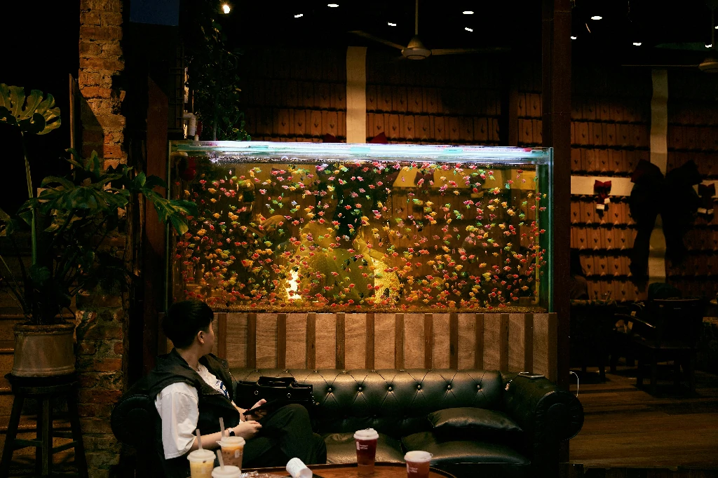 Khách hàng làm việc ca đêm tại quán cafe 24h